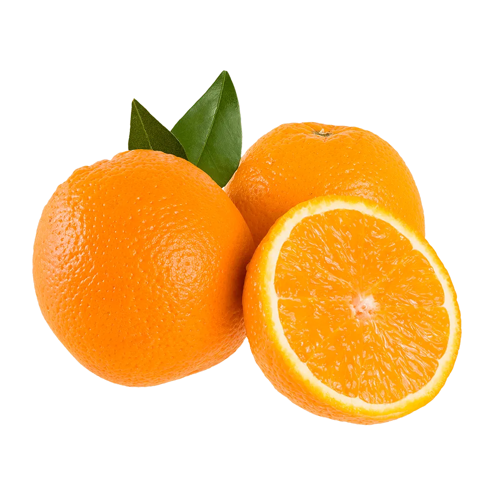 Laranja Umbigo Kg